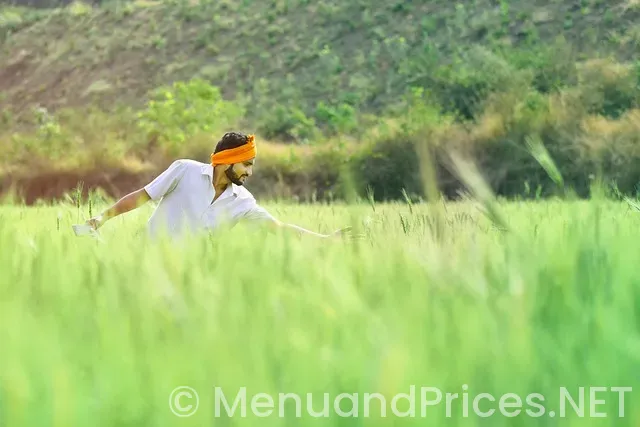 Ascend coshocton ohio menu Ascend coshocton ohio menu