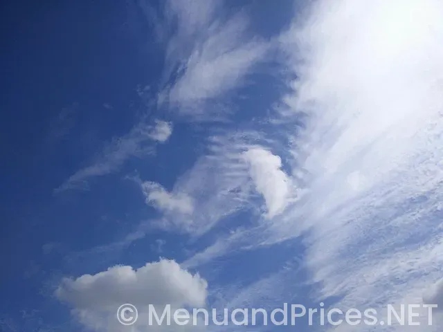 Atlantis restaurant menus with prices