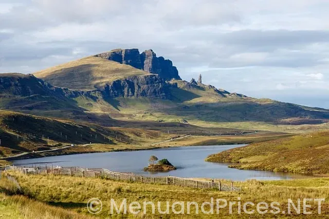 Backgrounds for menus of food Backgrounds for menus of food