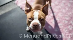 Best tasting menus Boston