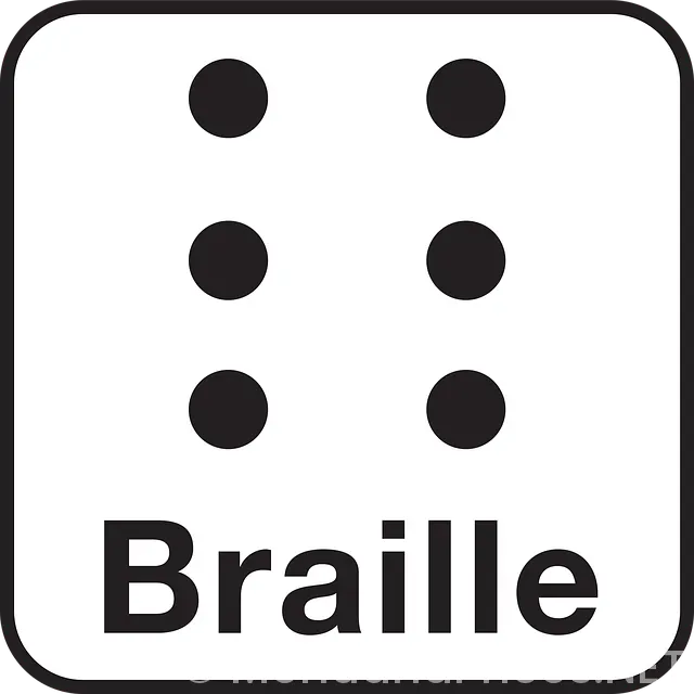 Braille menus