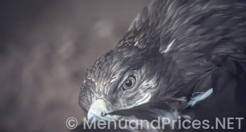 Buffalo wings menu and prices