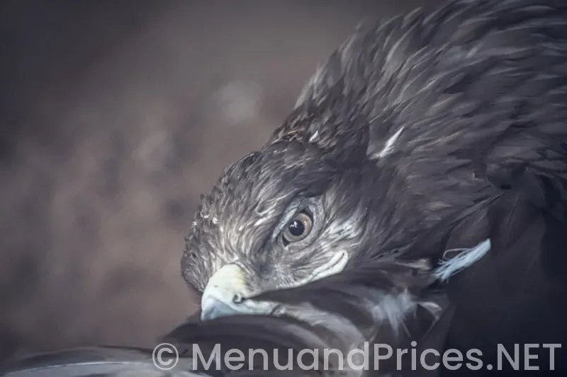 Buffalo wings menu and prices