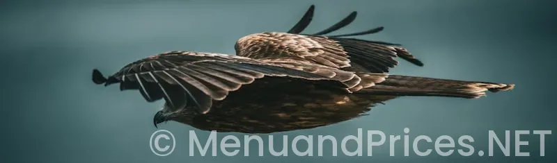 Buffalo wings menu and prices