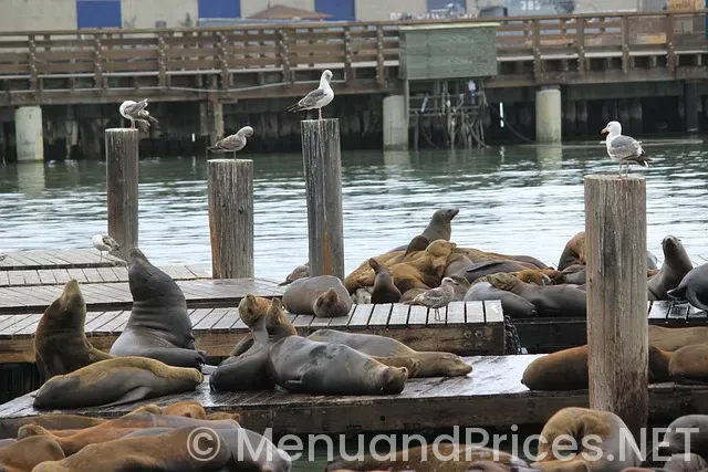 California pizza kitchen fort lauderdale menu