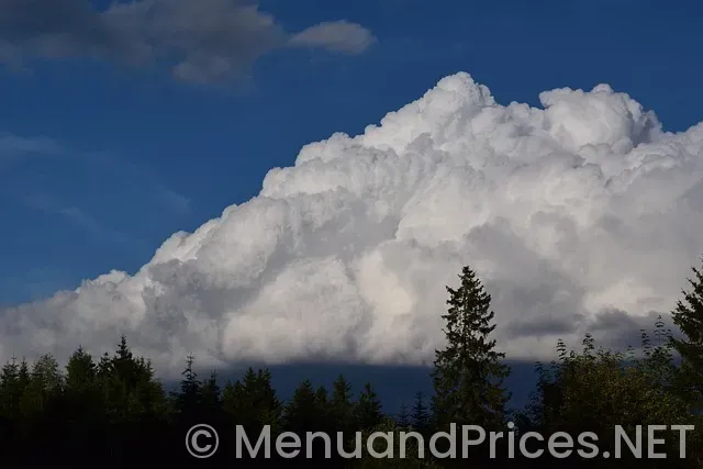 Candy cloud smyrna menu Candy cloud smyrna menu