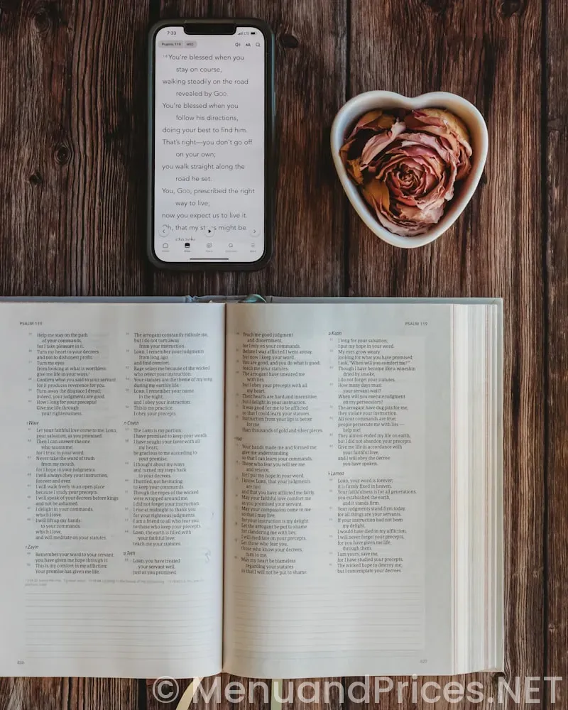 Care home menus ideas