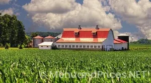 Champaign Dispensary Menu
