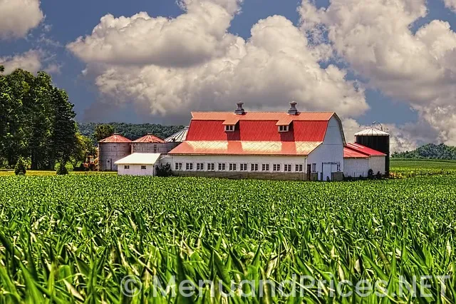 Champaign dispensary menu Champaign dispensary menu