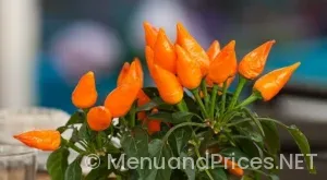 Chili’s catering menu and prices