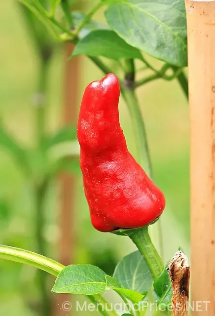 Chili's catering menu and prices