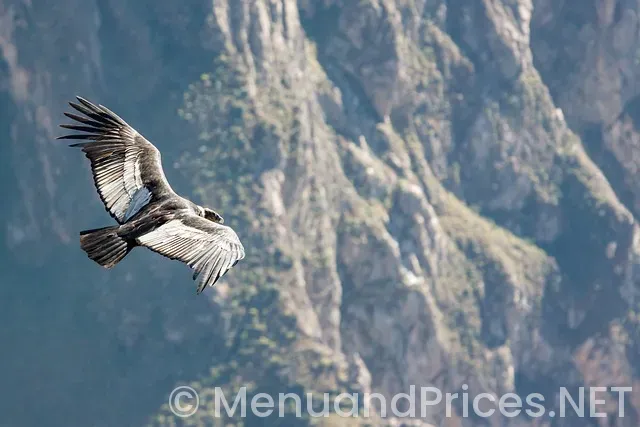 Crisp and green woodbury menu