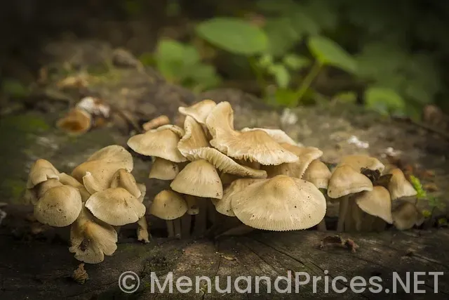 Crisp and green woodbury menu