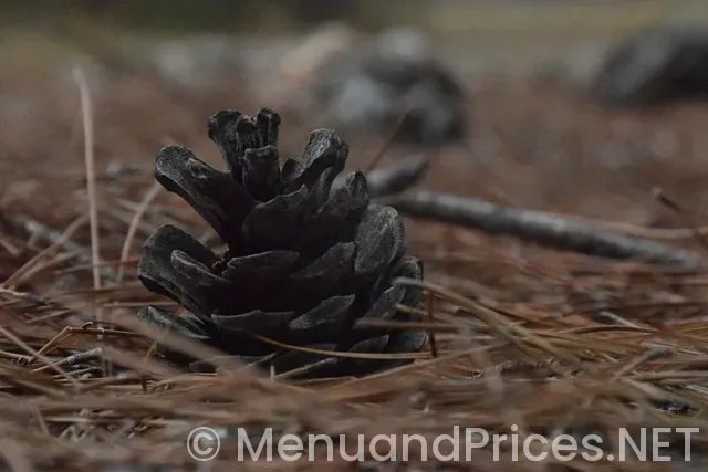 Crisp and green woodbury menu