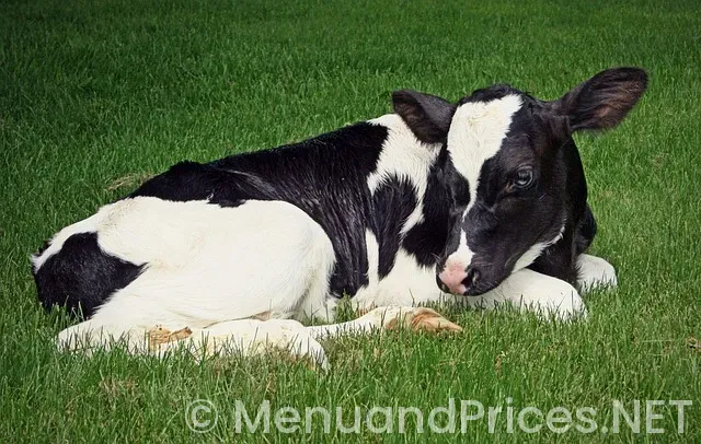 Dairy queen grill and chill price menu