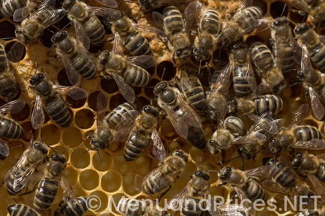 Dairy queen grill and chill price menu