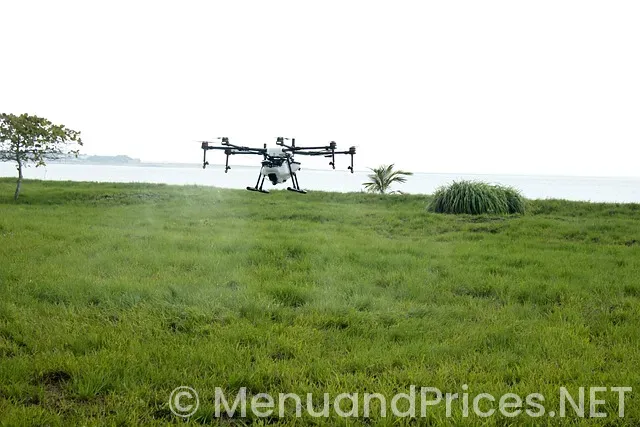 Drop down menu examples