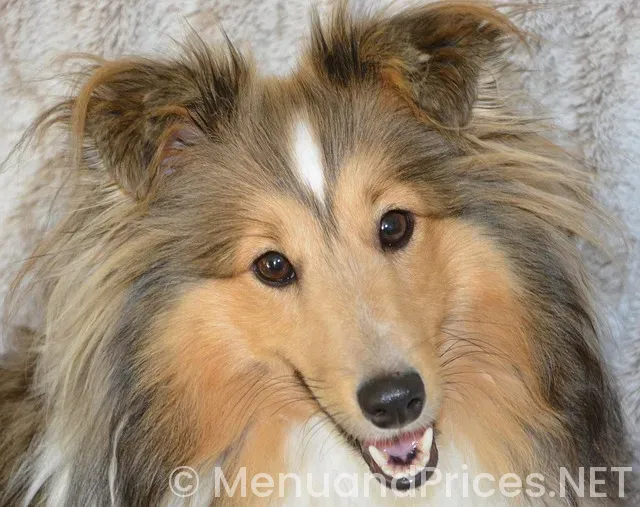 Fawn and fable menu Fawn and fable menu