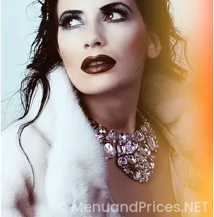 Five star south indian fast food & catering orlando menu