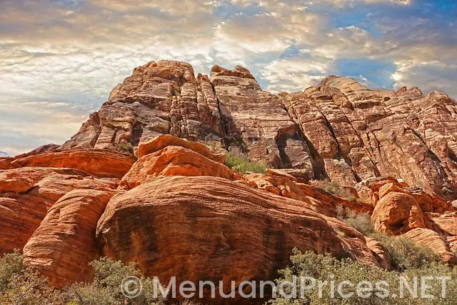 Four seasons las vegas room service menu