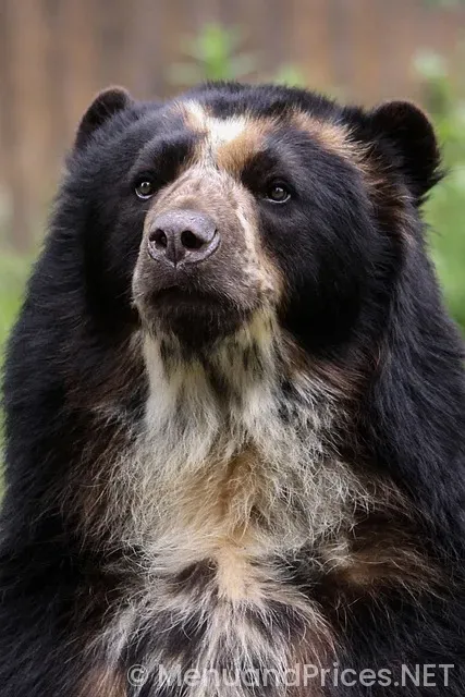 Fridays menu and prices