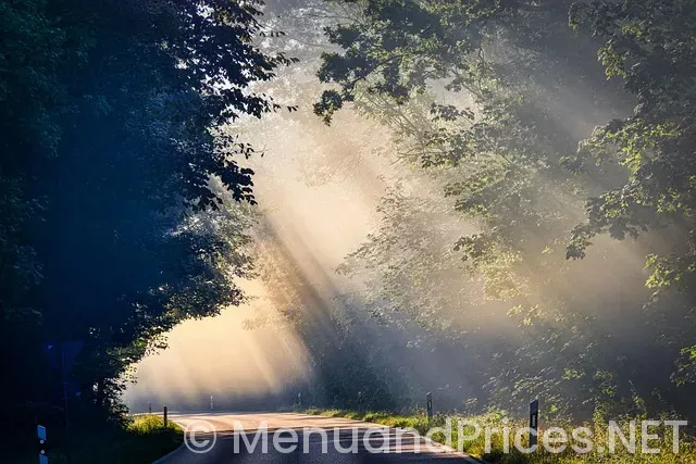 Gta5 mod menus Gta5 mod menus