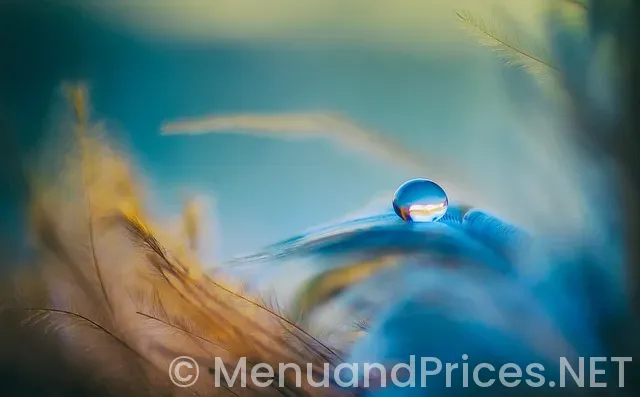 Gta5 mod menus Gta5 mod menus