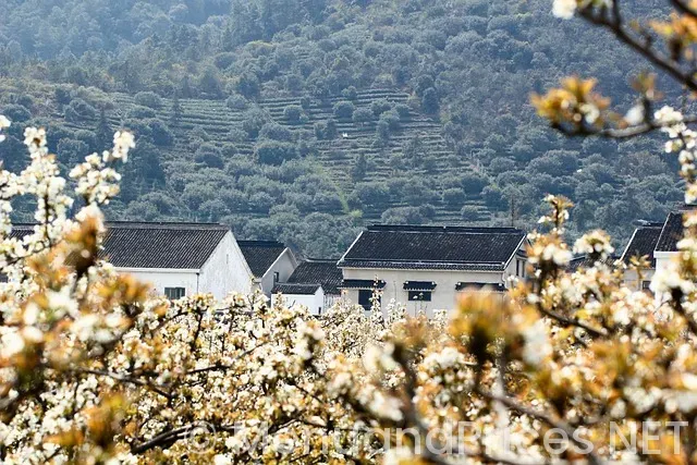 Hearth and hill menu Hearth and hill menu