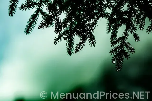 Honey baked ham & turkey prices and menu Honey baked ham & turkey prices and menu