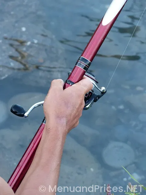 Hook and reel menu with prices pdf