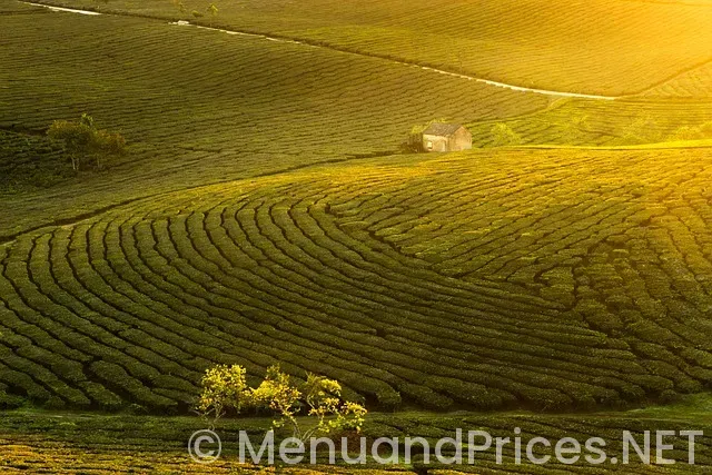 Hot hill tavern menu