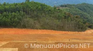 Hunan harker heights menu