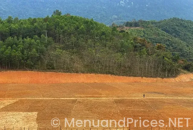 Hunan harker heights menu