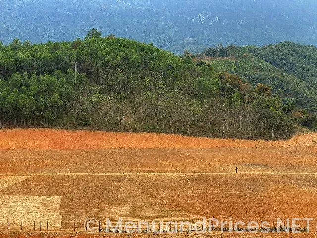 Hunan harker heights menu