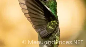 Hungry Howies menu and prices