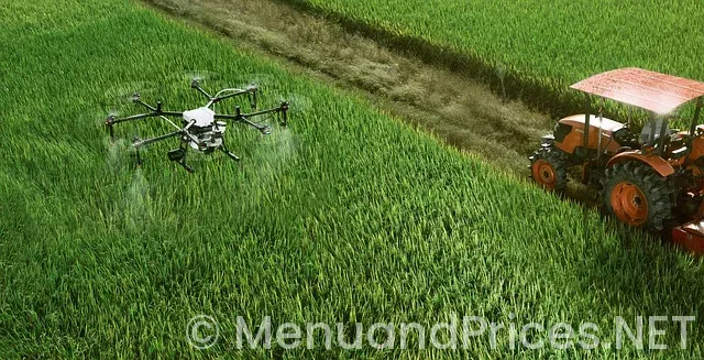 İpad menus in restaurants