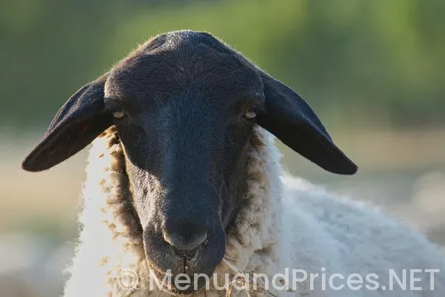 Kelley’s country cookin houston menu