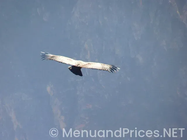 Logan's menu and prices