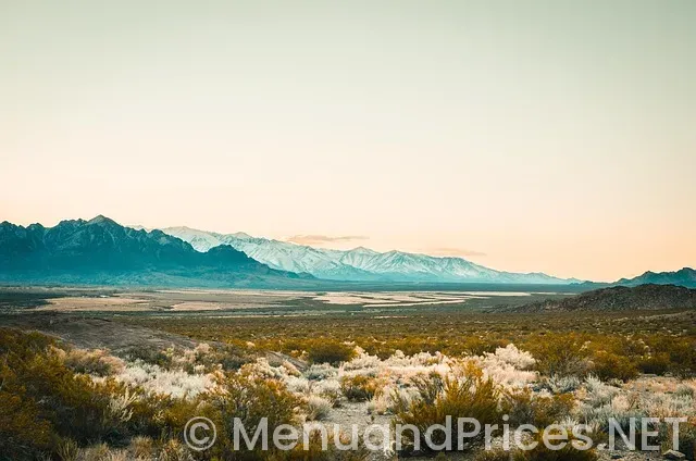 Menu and prices for bonefish grill Menu and prices for bonefish grill