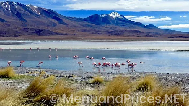 Menu and prices for bonefish grill Menu and prices for bonefish grill