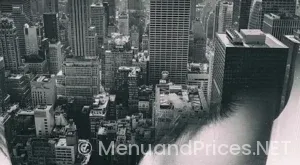 Menu Digital Display