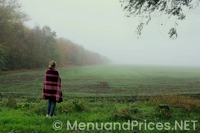 New leaf menu fall river