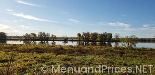 New leaf menu fall river