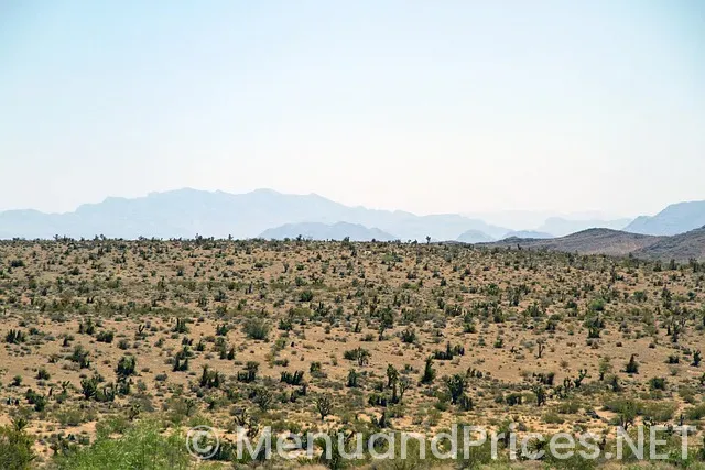 Ole red las vegas menu