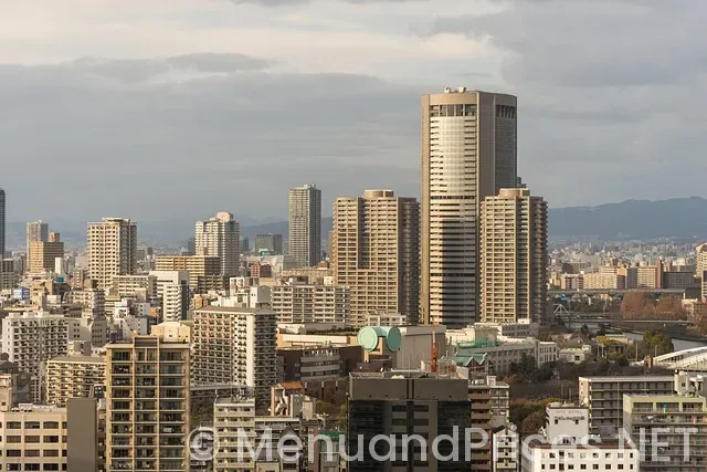 Otaru japanese restaurant pittsburgh menu