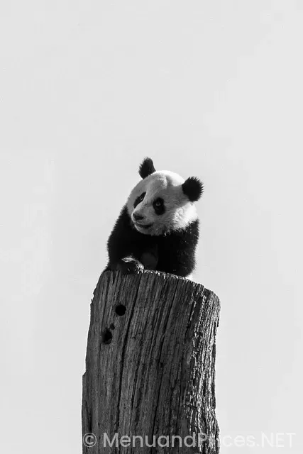 Panda express menu with pictures and prices