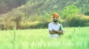 Panera bread catering menu and prices