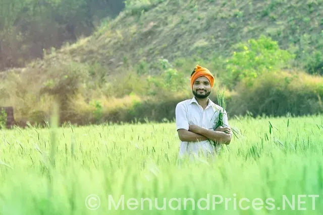 Panera bread catering menu and prices