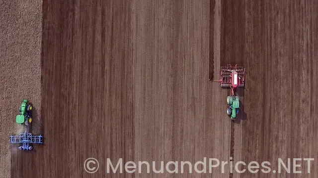 Papa johns menu and price