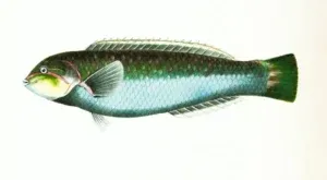 Pappadeaux seafood menu and prices